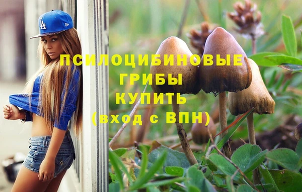 дживик Аркадак
