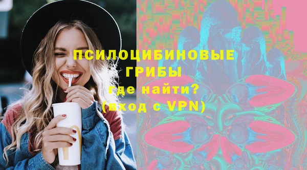 дживик Аркадак