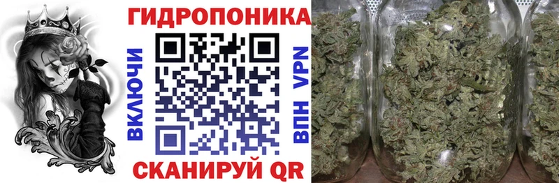 Каннабис семена  Новоульяновск 